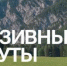 инклюзивный туризм - фото - 9 - Новодугинский район
